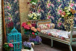 Clarke & Clarke Colony Wallcoverings