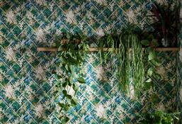 Clarke & Clarke Secret Garden Wallcoverings