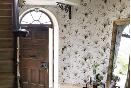 Harlequin Momentum 6 Wallpaper