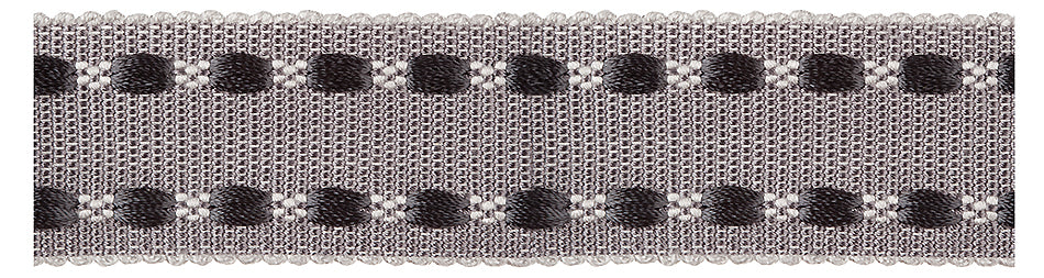 Jones Belezza Wide Braid Trim, Platinum