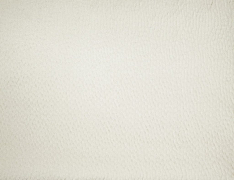 Ashley Wilde Rimini Isla Champagne Fabric