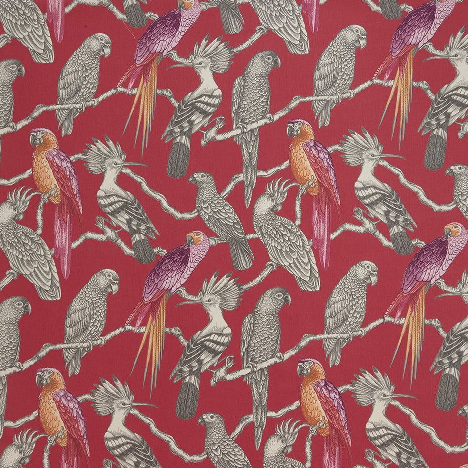 ILIV Maldives Aviary Pomegranate Fabric