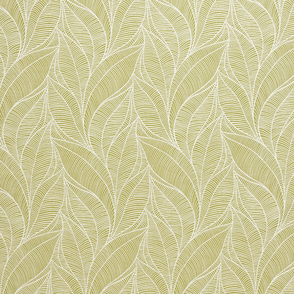 ILIV Maldives Tahiti Kiwi Fabric