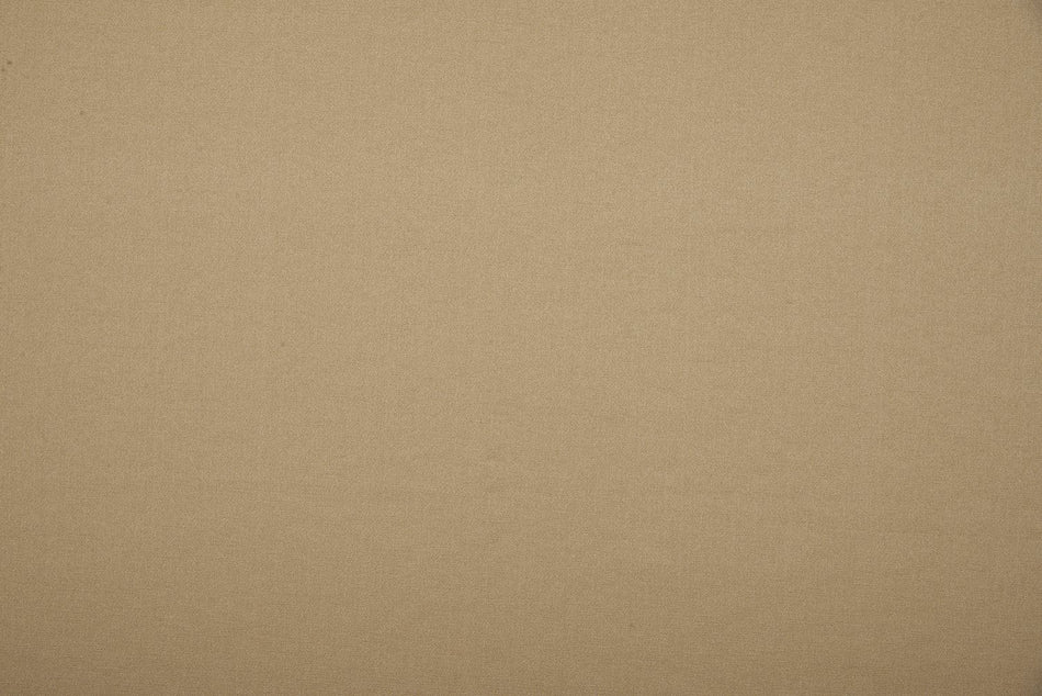 Beaumont Textiles Infusion Nicole Almond Fabric