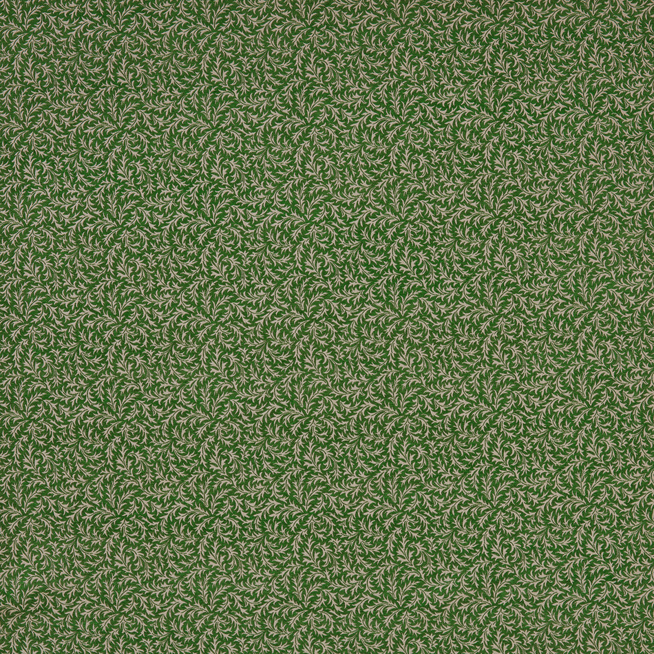 Iliv Botanist Aster Forest Fabric