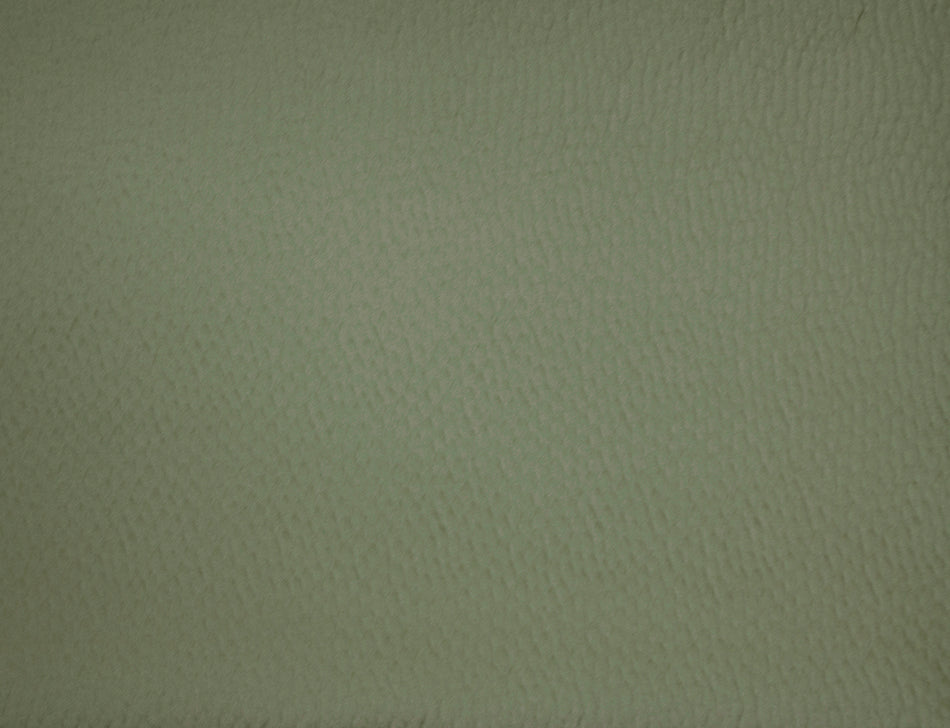 Ashley Wilde Rimini Isla Fern Fabric