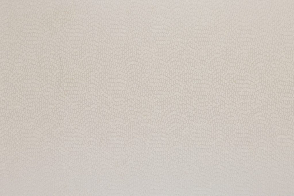 Kai Aravalli Sudetes Champagne Fabric