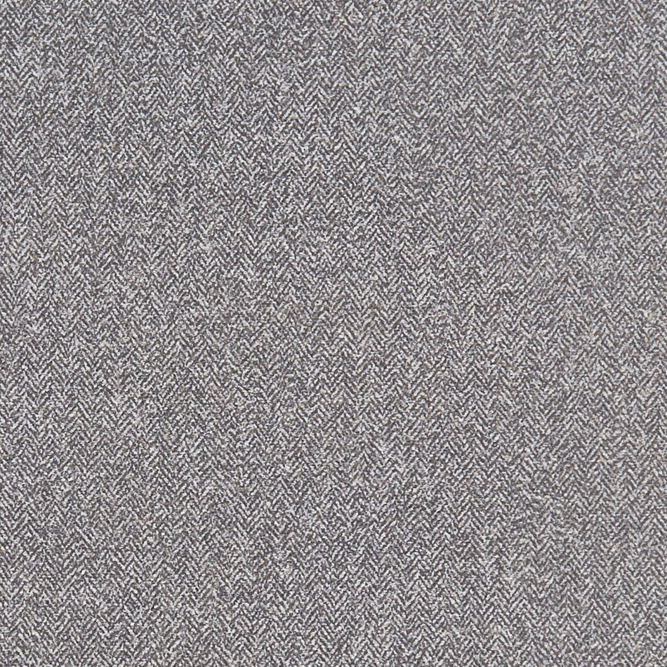 Clarke & Clarke Purus Rebano FR Slate Fabric