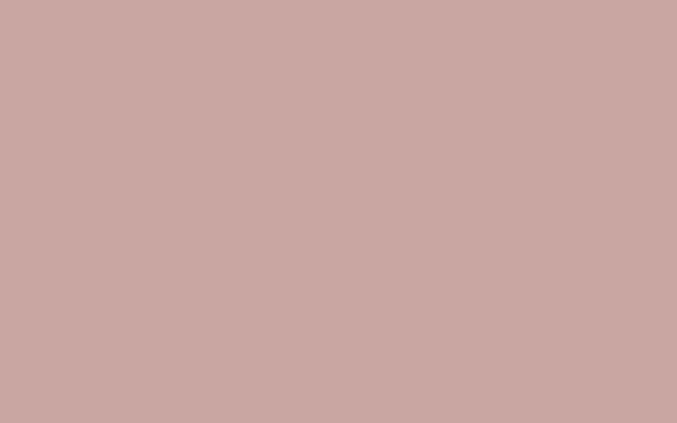 Little Greene Paint Hellebore (275)