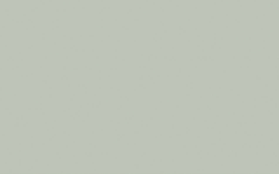 Little Greene Paint Pearl Colour Dark (169)
