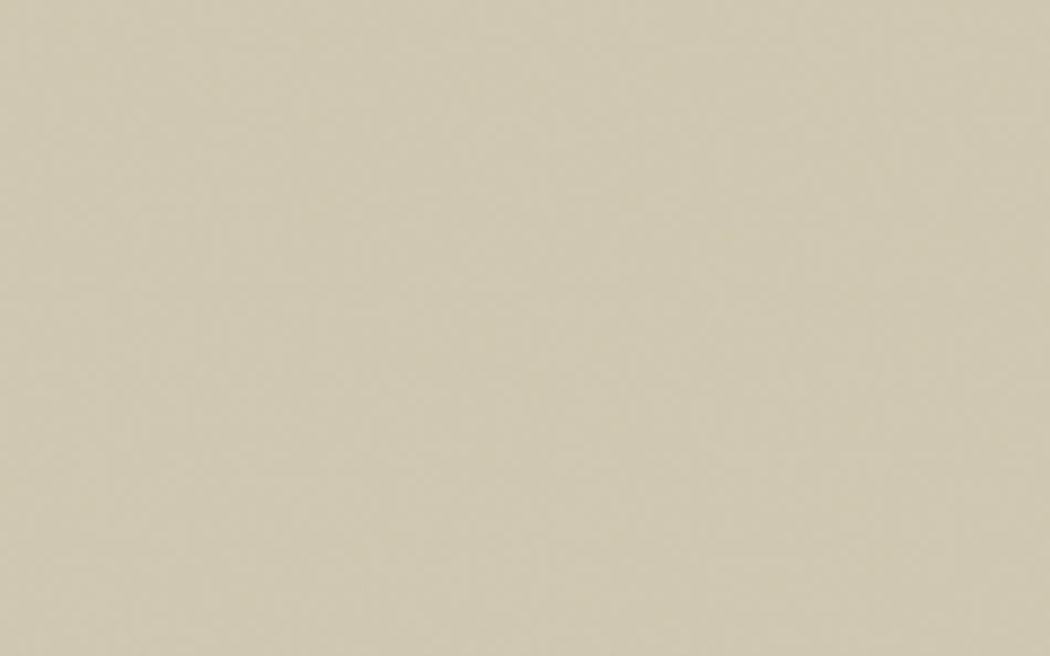 Little Greene Paint Rolling Fog (143)