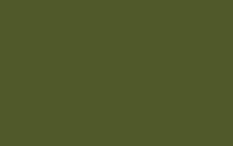 Little Greene Paint Jewel Beetle (303)