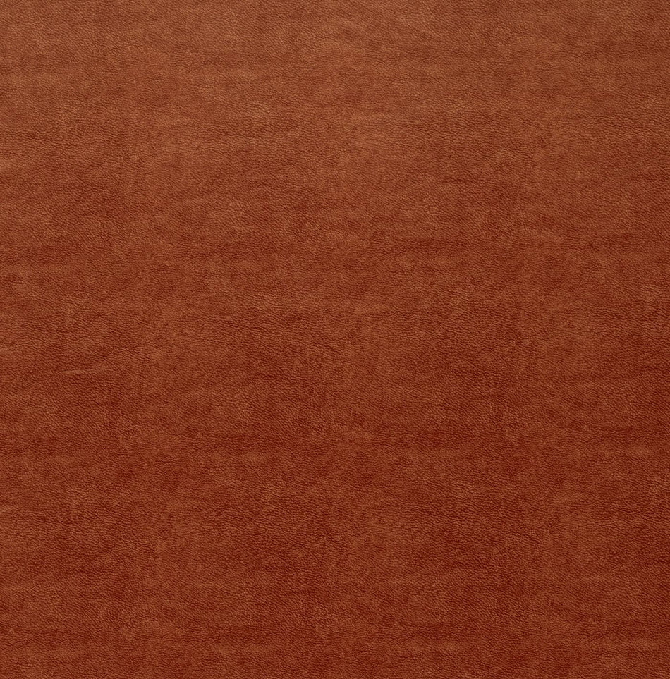 Ashley Wilde Tahiti Marina Scarlet Fabric