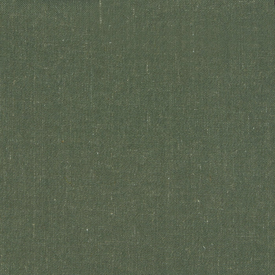 ILIV Sustainable Plains 1 Chakra Evergreen Fabric