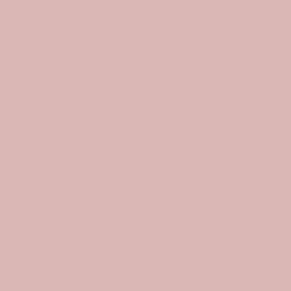 Sanderson Paint French Rose
