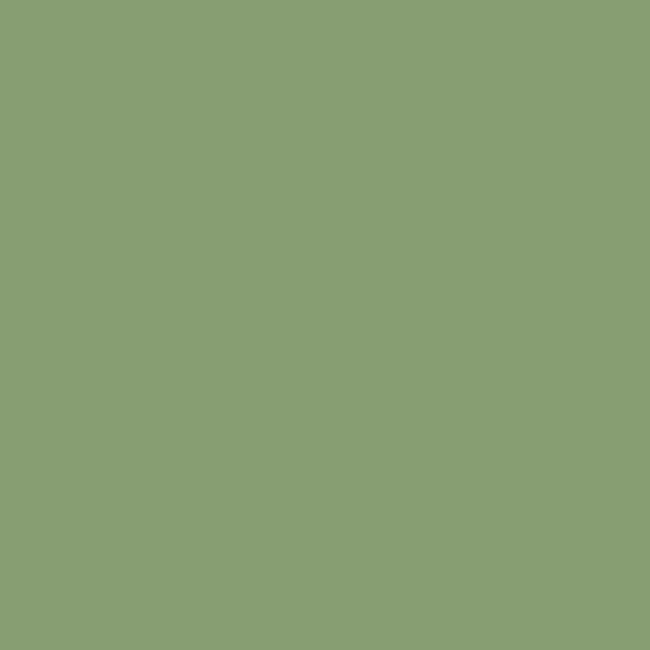 Sanderson Paint Botanical Green