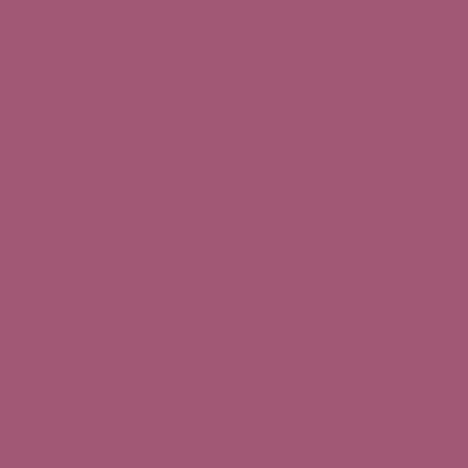 Sanderson Paint Wild Plum Light