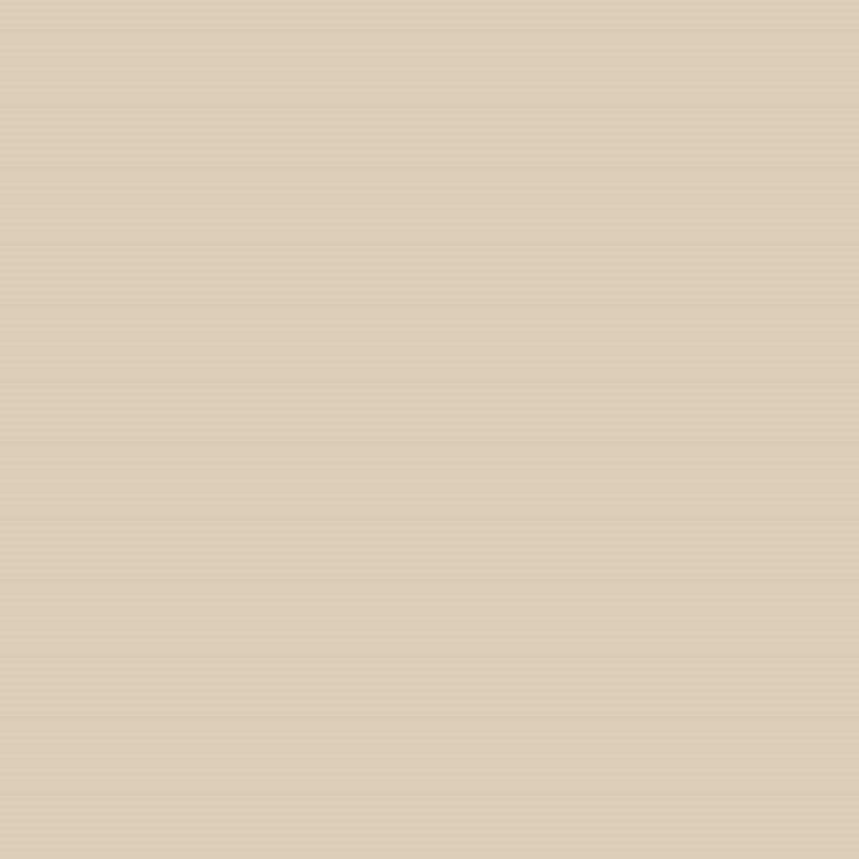 Sanderson Paint Beige Shadow