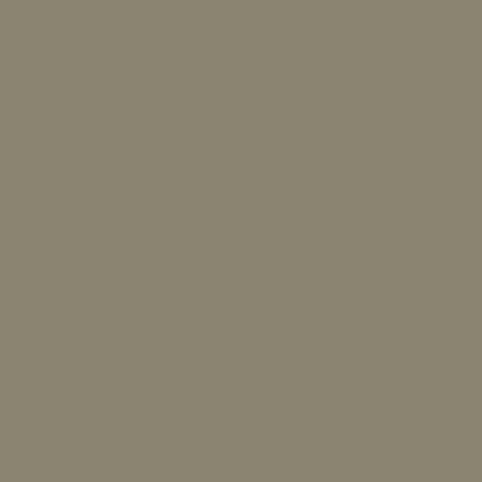 Zoffany Paint Spanish Olive