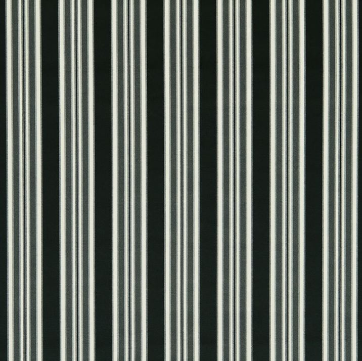 Clarke & Clarke Whitworth Wilmott Ebony Fabric