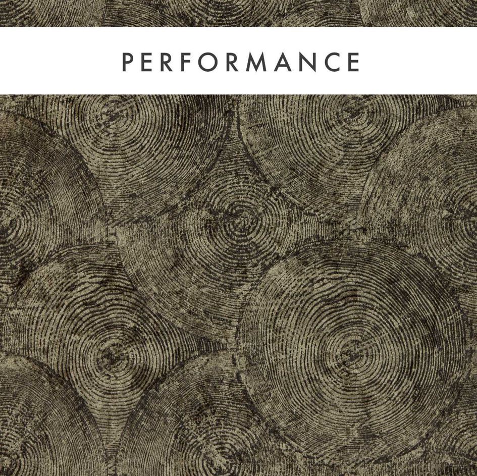 Clarke & Clarke Expressions Silvan Charcoal/Gilver Wallpaper