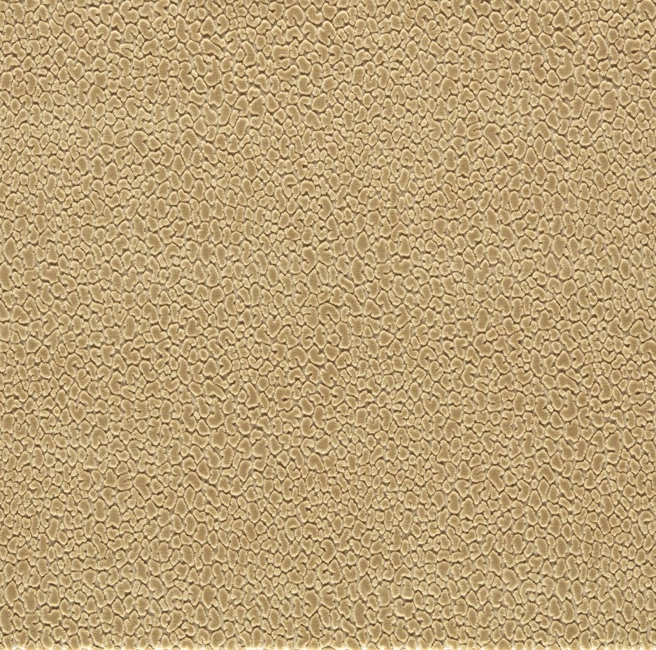 Harlequin Reflect Velvets Lacuna Sand Fabric